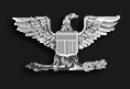 Colonel Insignia