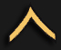 Private Insignia